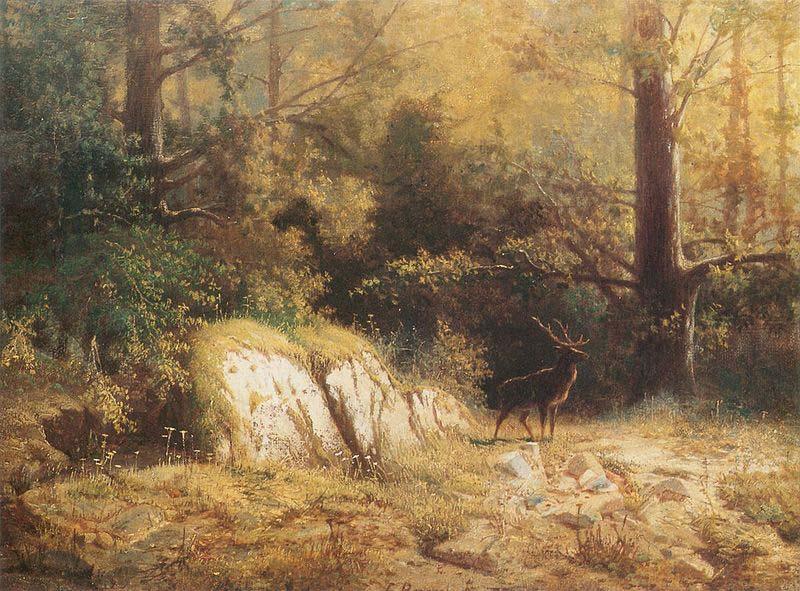 Forest landscape with a deer., unknow artist